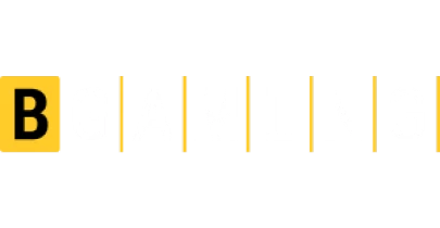 भागीदार जो BASA8 के साथ काम करते हैं